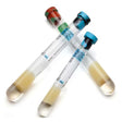 BD VACUTAINER Mononuclear Cell Preparation Tube (CPT), Sodium Citrate, 16x125mmx8.0mL. MPN: 362761