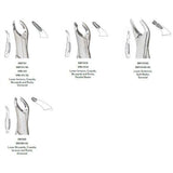 MILTEX 151AS Extracting Forceps, Lower Anteriors. MPN: DEF151AS - Image 2
