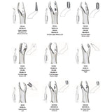 MILTEX 88R Extracting Forceps, Upper Molars. MPN: DEF88R - Image 2