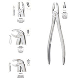 MILTEX MEAD Extracting Forceps, English pattern. MPN: DEFMD2 - Image 2