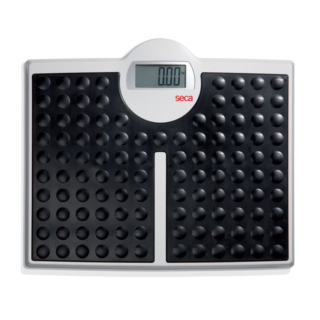SECA 813 High Capacity Electronic Flat Floor Scale (440 lbs). MPN: 8131321009