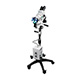 COLPO-MASTER II LED Colposcope, Binocular Zoom Head, 5 Leg Base. MFID: CS-205LED
