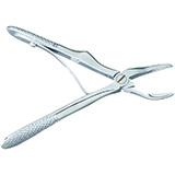 MILTEX Veterinary Extracting Forceps: Upper Root, Universal, Mini, 4 1/4". MFID: DEFH