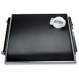 SECA 674 Electronic Platform Scale (800 lbs). MFID: 6741321103
